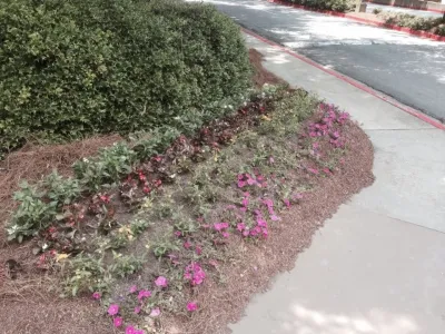 Elite Environments, LLC - Landscape Construction in Buford, GA