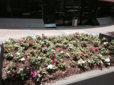 Elite Environments, LLC - Landscape Construction in Buford, GA