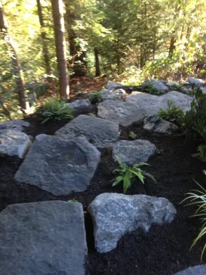 Bellevue Backyard Remodel — Landscape Construction project by Elite Horticulture Services in Bellevue