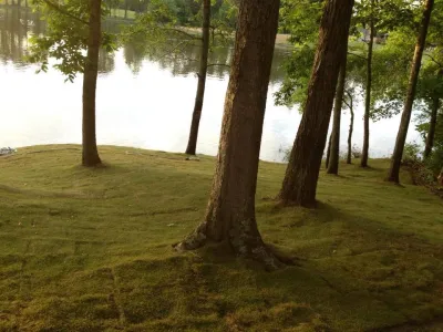 Elite Lawn and Landscape - Landscape Construction in Poquoson, VA