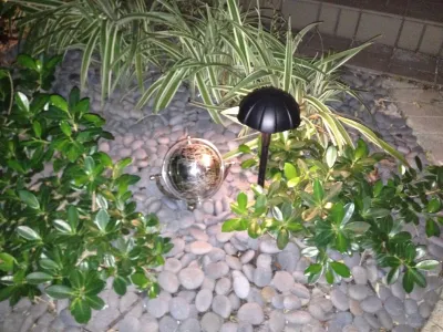 Landscape Lighting — Landscape Construction project by EMCO Landscaping
