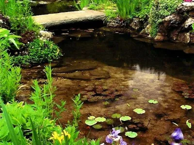 St. James, Long Island Pond and Bridge — Landscape Construction project by Emil Kreye & Son Inc. in St. James
