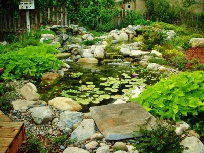 Water Garden — Landscape Construction project by EnviroscapeLA