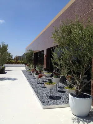 Beverly Hills Commercial 1 — Landscape Construction project by Enzo Caserta Landscaping, Inc