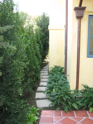Beverly Hills Residence 2 — Landscape Construction project by Enzo Caserta Landscaping, Inc
