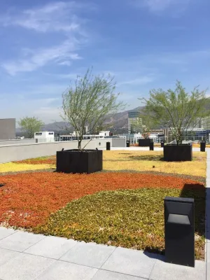 Glendale Commercial 1 — Landscape Construction project by Enzo Caserta Landscaping, Inc