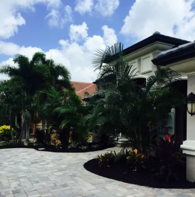 New Construction Tropical Landscape — Landscape Construction project by Evergreen Irrigation & Landscaping