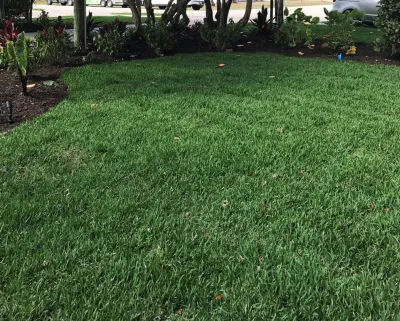 Outdoor Living — Landscape Construction project by Evergreen Irrigation & Landscaping in Bonita Springs