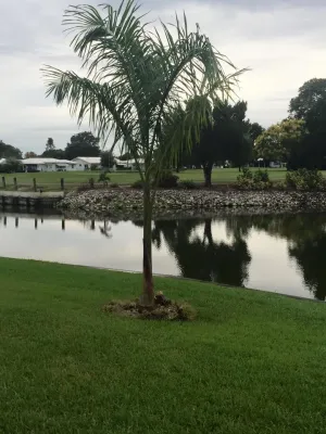 Evergreen Lawn Service LLC. - Landscape Construction in Bradenton, FL