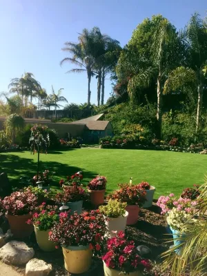 Evo Turf & Pavers - Drought-Resistant Lawn Installation in El Cajon, CA