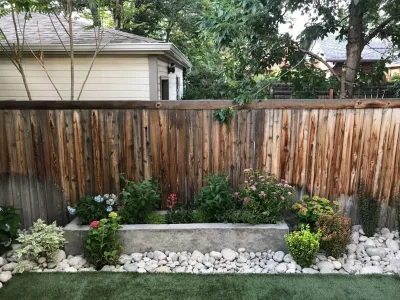 Evolve Landscape - Tree & Shrub Care in Denver, CO