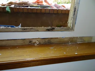 Timber Decay and Moisture Damage — Kitchen Remodeling project by Gordon Designed Homes, LLC