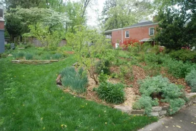 EYG Landscapes - Garden Remodeling in Asheville, NC