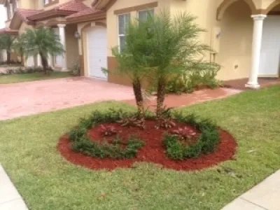 Falcon professional Lawn Services - Lawn Edging & Trimming in Miami, FL