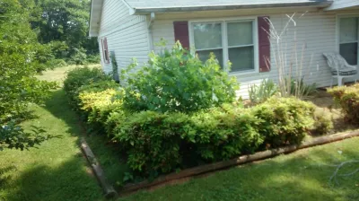 L & D Landscaping - Landscape Construction in Athens, AL