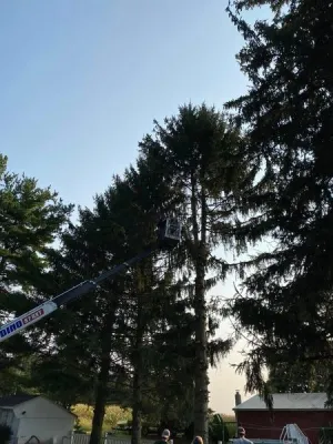 Fawn Landscaping and Tree - Paver Installation in Fawn Grove, PA