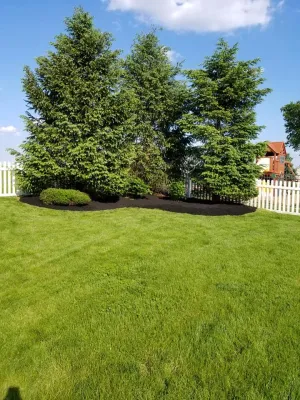 Fawn Landscaping and Tree - Paver Installation in Fawn Grove, PA