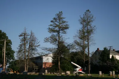 Fawn Landscaping and Tree - Paver Installation in Fawn Grove, PA