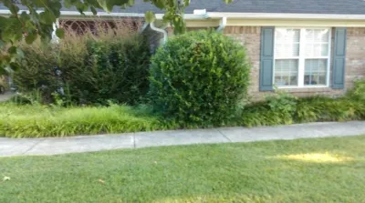L & D Landscaping - Landscape Construction in Athens, AL