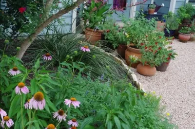 Cozy Austin Garden — Landscape Construction project by Fertile Ground Organic Gardens