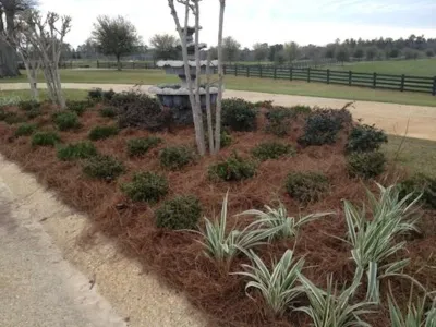 Field of Dreams Landscaping - Sprinkler Installation & Repair in Gulfport, MS
