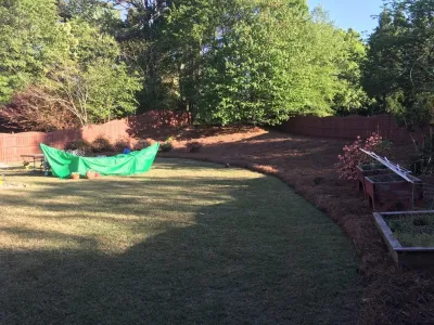 Fine Edge Landscapes - Tree Planting & Transplanting in Marietta, GA