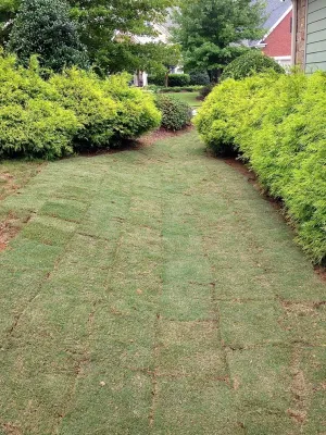 Completed work for customers — Landscape Construction project by Fine Edge Landscapes