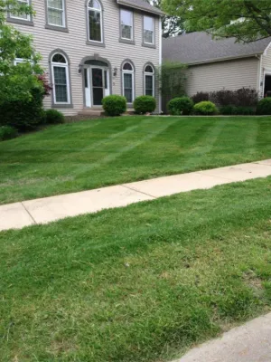 My Projects — Landscape Construction project by First Choice Landscaping, LLC