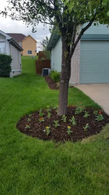 Flatwater Landscape and Design LLC - Drought-Resistant Lawn Installation in Fort Calhoun, NE