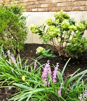 Flora Design and Landscape - Garden Remodeling in Chesterfield, MO
