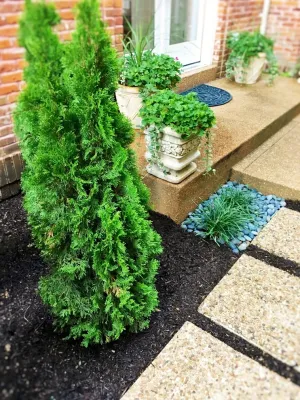 Flora Design and Landscape - Garden Remodeling in Chesterfield, MO