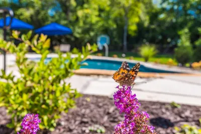 Flora Design and Landscape - Garden Remodeling in Chesterfield, MO
