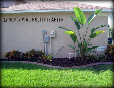Floriscape - Land Cleaning in New Port Richey, FL