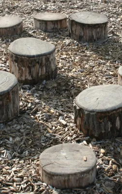 Formecology, LLC - Drought-Resistant Lawn Installation in Madison, WI