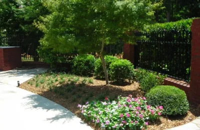Landscape Management Company - Tree & Shrub Care in Gainesville, GA