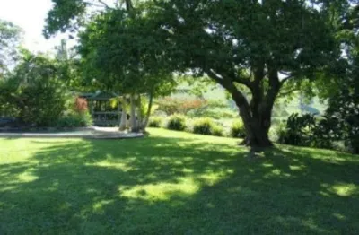 Landscape Management Company - Tree & Shrub Care in Gainesville, GA
