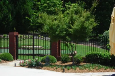 Landscape Management Company - Tree & Shrub Care in Gainesville, GA