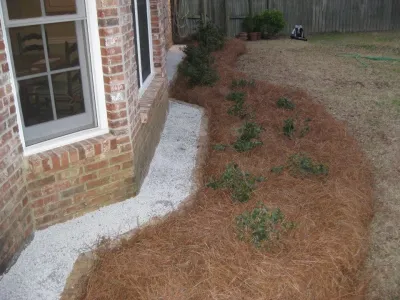 Fowler Landscape and Design - Lawn Edging & Trimming in Brandon, MS