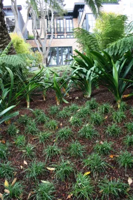 Frank & Grossman Landscape Contractors, Inc. - Irrigation System Repair in San Francisco, CA