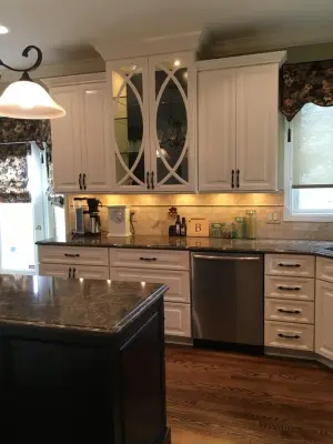 KITCHEN REMODELING — Home Renovation & Remodeling Services project by Newmyer Distinctive Remodeling
