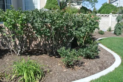 Frederico Landscape Management - Outdoor Lighting Installation in Provo, UT