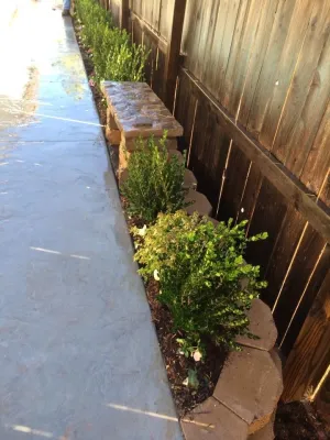 Freemans Landscape - Lawn Aeration in Edmond, OK