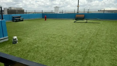 Fresh Lawn Turf - Landscape Construction in Houston, TX