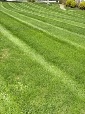 Landscaping — Landscape Construction project by Froio's Lawn & Landscape