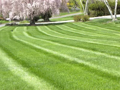 Froio's Lawn & Landscape - Leaf Removal & Cleanup in West Chester, PA