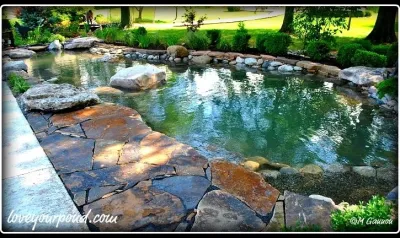 Full Service Aquatics LLC. - Patio Design & Installation in Summit, NJ