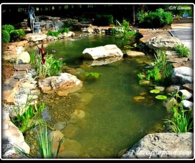 Full Service Aquatics LLC. - Patio Design & Installation in Summit, NJ