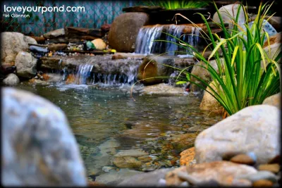 Full Service Aquatics LLC. - Patio Design & Installation in Summit, NJ