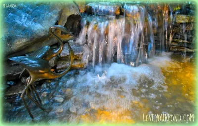 Full Service Aquatics LLC. - Patio Design & Installation in Summit, NJ
