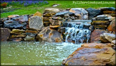 Full Service Aquatics LLC. - Patio Design & Installation in Summit, NJ